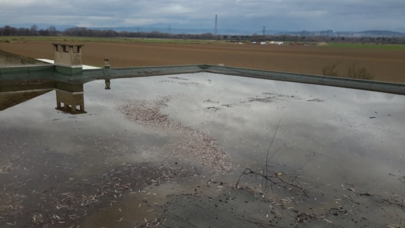 ancienne étanchéité